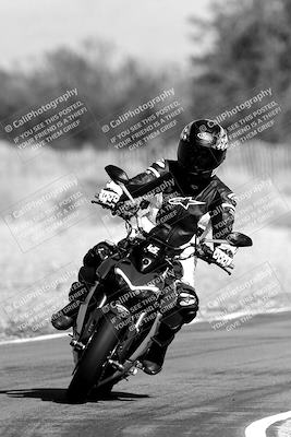 media/Nov-11-2023-SoCal Trackdays (Sat) [[efd63766ff]]/Track Exit (1130am until Lunch)/